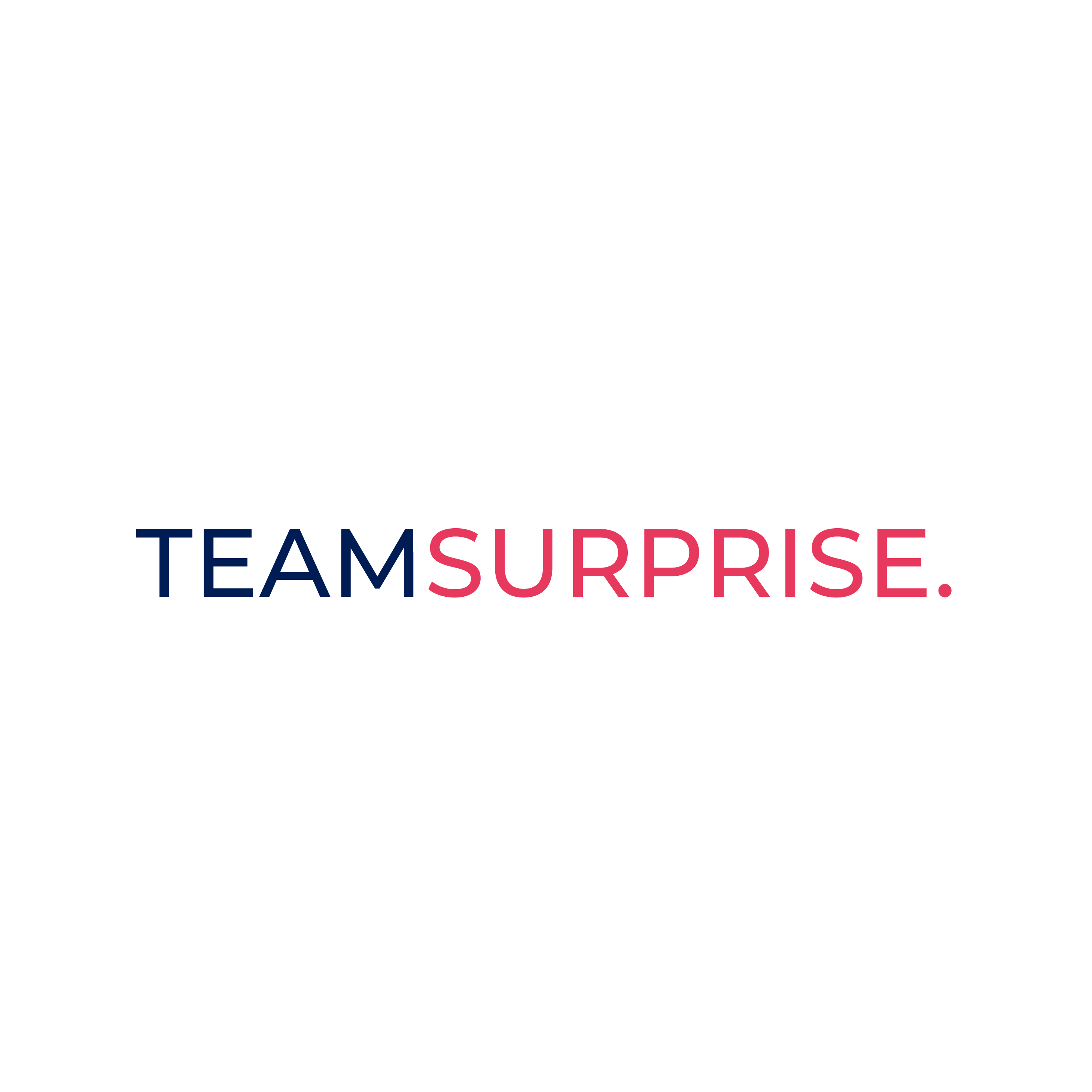 TeamSurprise