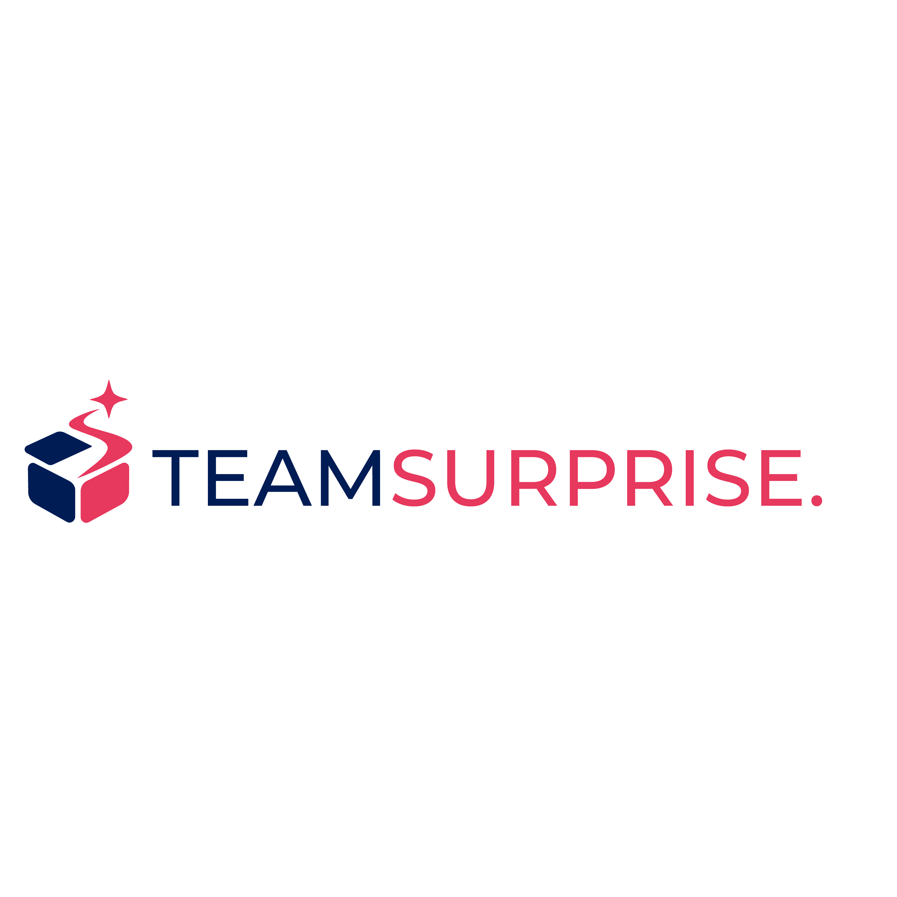 TEAM SURPRISE.